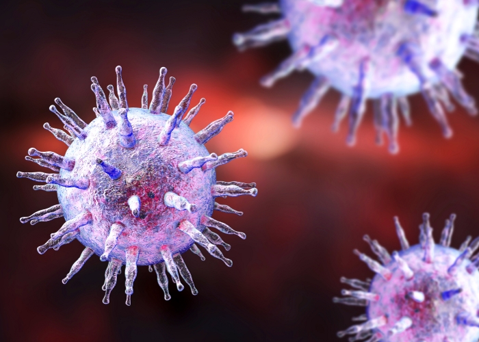 EBV infection and MS risk genes