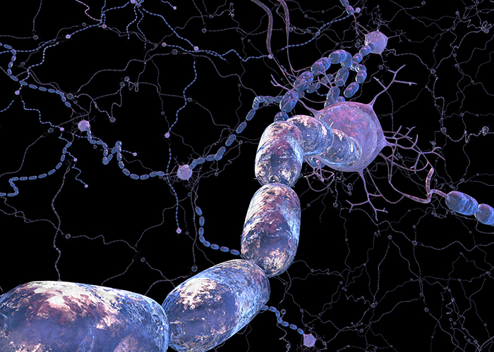 survival of myelin producing cells