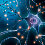 super charging mitochondria - potential pathway to treat progressive ms