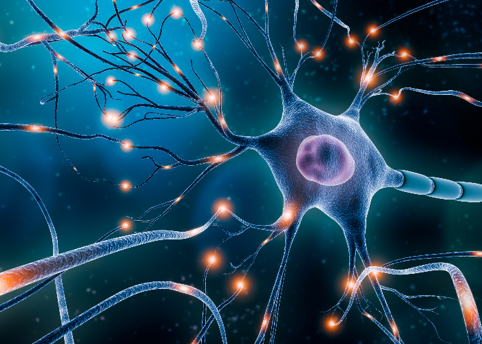 super charging mitochondria - potential pathway to treat progressive ms