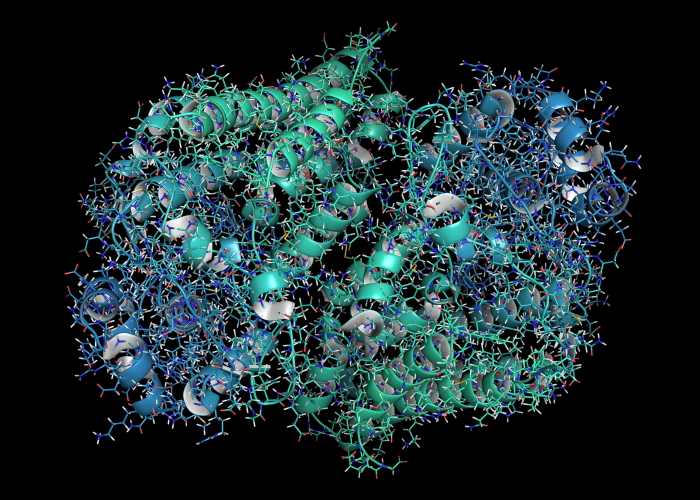 blocking inflammation