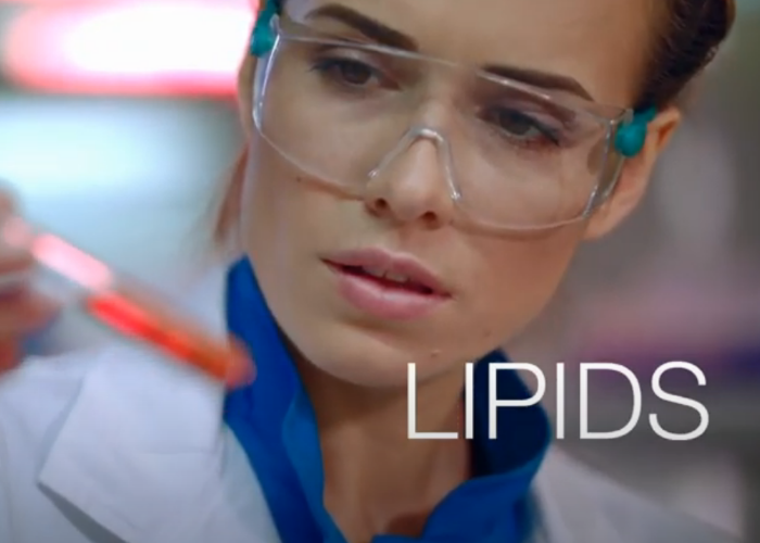 lifestyle factors - lipid levels