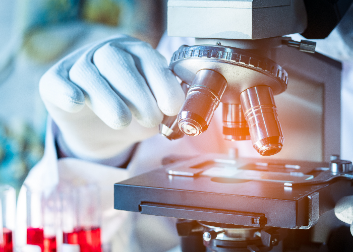 funding for MS research