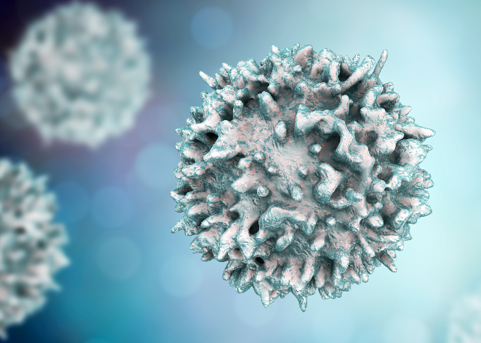 b-cells EBV infection