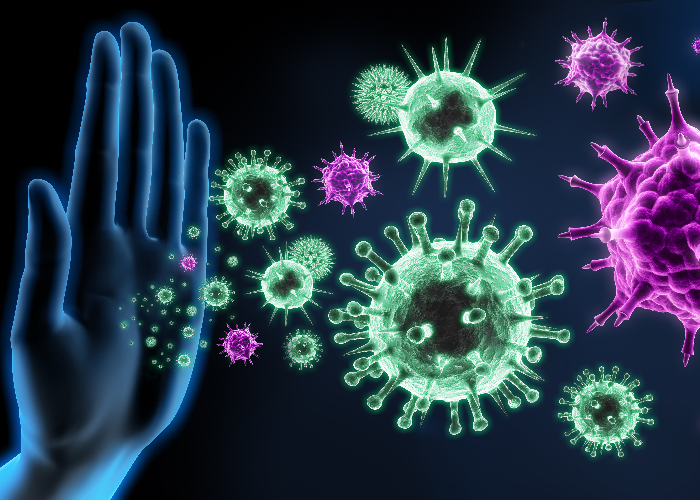 immune system in people with MS