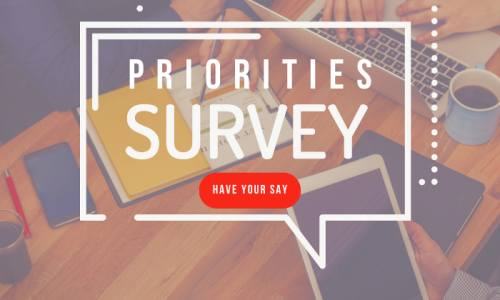 priorities-survey-2021