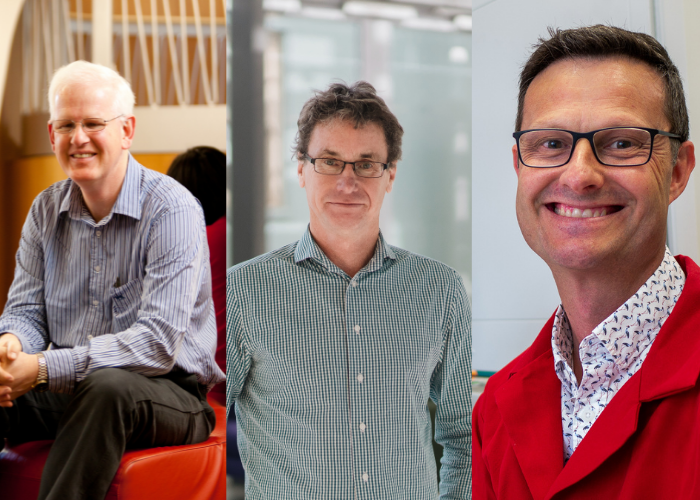 NHMRC funded MS researchers