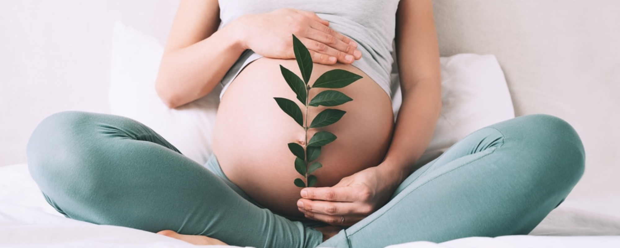 fertility pregnancy and intimacy