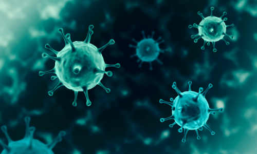 virus