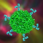 B-cell and antibodies, 3D illustration