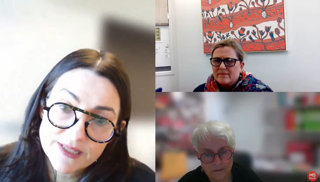 MS Plus presentation