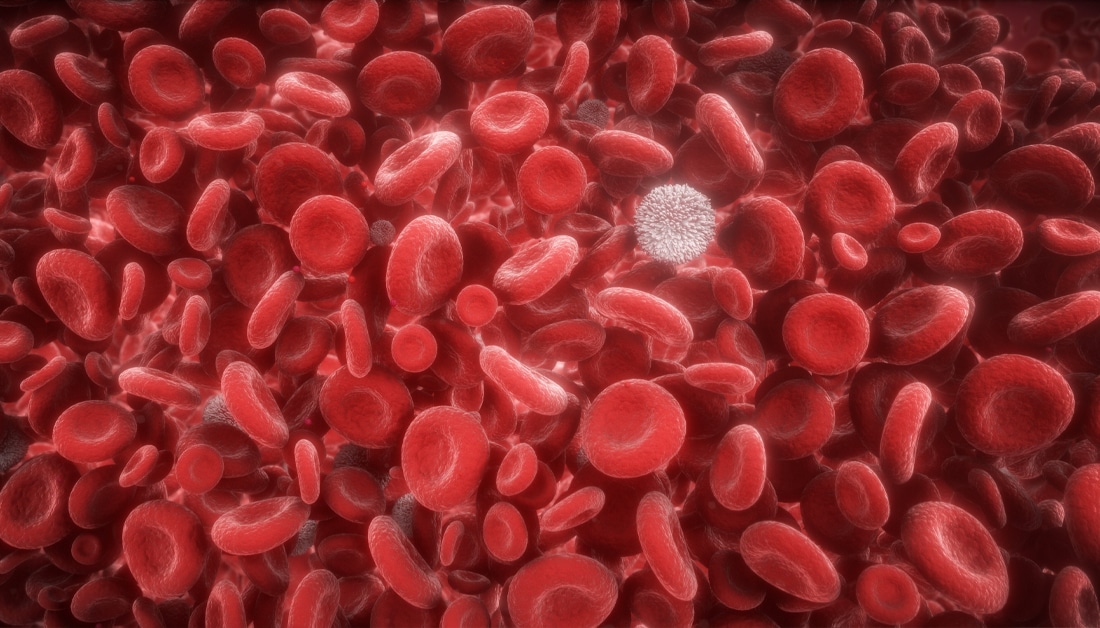 Red and white blood cells