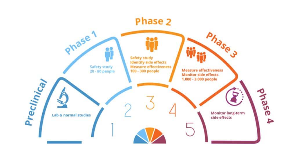 Clinical trial phases