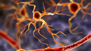 Researchers develop a cutting-edge tool to identify rare brain cells linked to MS.