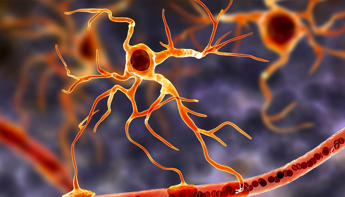 Researchers develop a cutting-edge tool to identify rare brain cells linked to MS.