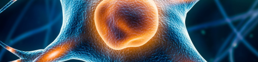 Repurposing old drugs: the hunt for progressive MS treatments targeting remyelination