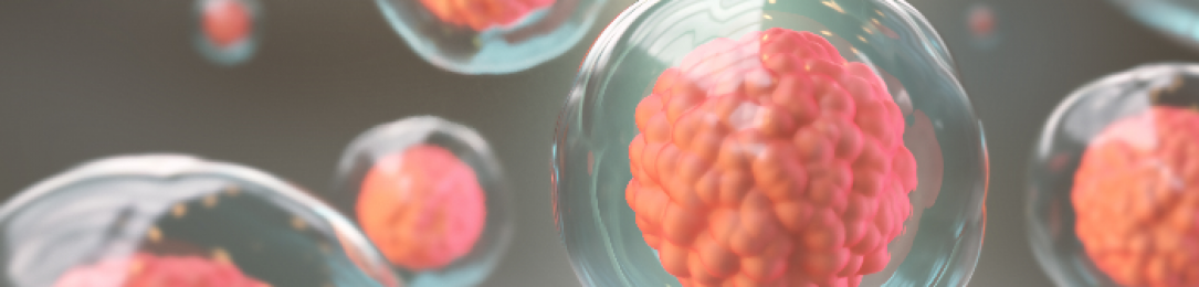 Partnership grant to improve decisions about accessing stem cell-based therapies