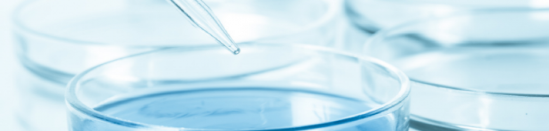 What happens to the immune system of people with MS after AHSCT?