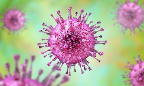other-viruses