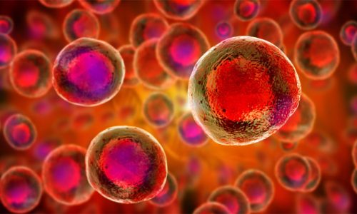 stem-cells