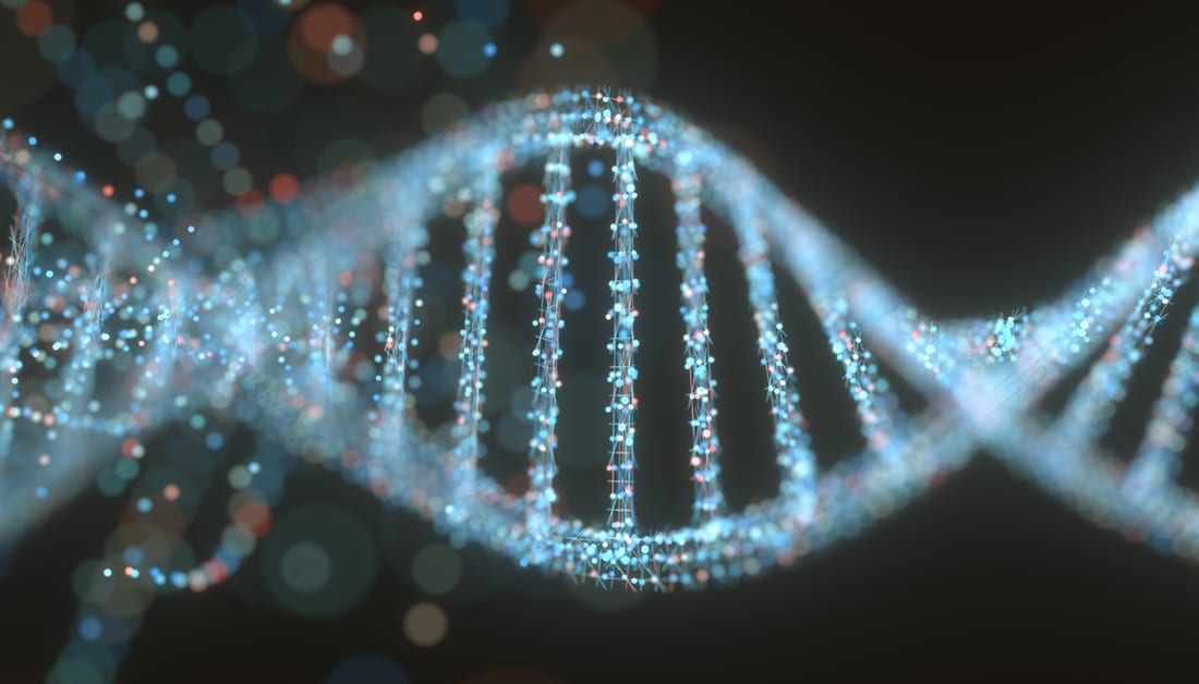 What contributes to the severity of MS?